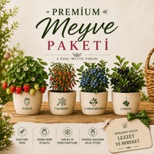 Abelia Fidancılık Premium Meyve Paketi