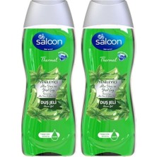 Defne Store Therml Duş Jeli Yenileyici Aloe & Yeşil Çay 450ML 2li Paket