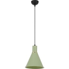 Defne Store AV-4106-M22-GREEN Yeşil Boyalı Modern Avize E27 Metal 20CM