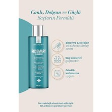 Defne Store Naturagen Dökülme Karşıtı Şampuan 400 ml | Hızlı Uzamaya Yardımcı | Biberiye Yağı + Kolajen Peptitleri (2 Paketi)