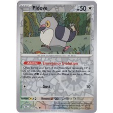 Pidove [reverse Holo] 133/162 - Temporal Forces - Pokemon Kartı (Mint)