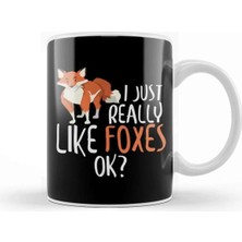 Dekado Cute I Just Really Like Foxes, Ok Funny Fox Kupa Bardak Porselen