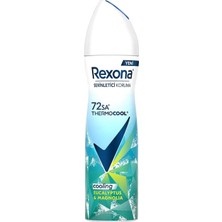 Defne Store Thermocool Kadın Sprey Deodorant Eucalyptus & Magnolia 150 ml