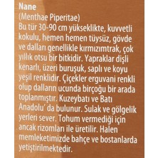 Defne Store Nane Yaprağı Yağı (20 Ml)