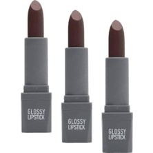 Defne Store Uzun Süre Kalıcı Yoğun Renk Veren Nemlendirici Parlak Ruj - Glossy Lipstick 316 Dusty Plum (3 Paketi)