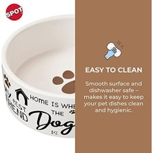 Defne Store Spot I Dogs Tabağı - Yuvarlak Seramik Yemek/evcil Hayvanlar Için Yüksek Duvarlı Su Kasesi, Bulaşık Makinesinde Yıkanabilir, Küçük Köpekler, Kediler, Sürüngenler, Büyük Kuşlar, 12,7 Cm, 1,75