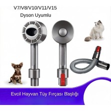 VitaLuxe Dyson V7/V8/V10/V11/V15 Uyumlu Evcil Hayvan Tüy Fırçası Başlığı
