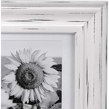 Defne Store Uluslararası Tasarım Whitman Beyaz Wash Mat 3 Açıklık Collage Ahşap Resim Çerçevesi, 5 17,8 cm