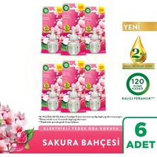 Air Wick Sakura Bahçesi Elektrikli Oda Kokusu Yedek Şişe 6x19ml Doğal Yağ Özleri İçerir