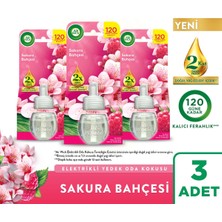 Air Wick Elektrikli Oda Kokusu Yedek Şişe Sakura Bahçesi, 3x19ml