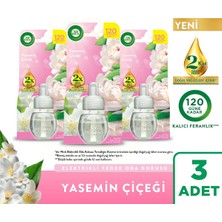 Air Wick Elektrikli Oda Kokusu Yedek Şişe Yasemin Çiçeği, 3x19ml