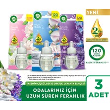 Air Wick Elektrikli Oda Kokusu Yedek Şişe Yasemin Çiçeği + Beyaz Orkide + Lavanta Bahçesi, 3x19ml