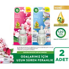 Air Wick Elektrikli Oda Kokusu Yedek Şişe Sakura Bahçesi + Beyaz Orkide 2x19ml Uzun Süren Ferahlık