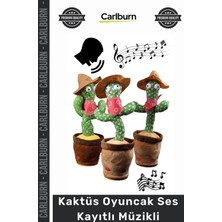 Carlburn Özel Üretim Konuşan Dans Eden Sese Duyarlı Eğitici Peluş Bebek Kaktüs Oyuncak Ses Kayıtlı Müzikli