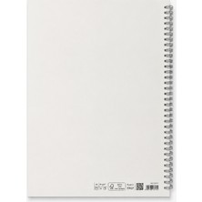 Fabriano Quaderno 'bio Spiralato' A4 70 Astarlı Spiralli, Microperf. - Pietra