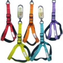 Nunbell Renkli Göğüs Tasması 2mm Yumaşak Doku