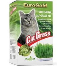 Eurocat Cat Grass Sindirim ve Tüy Yumağı Destekleyen Kedi Çimi