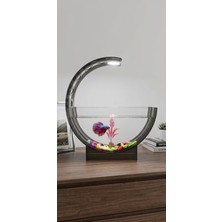 Heryerden Modern Beta Akvaryum 40 cm Fener Akvaryum