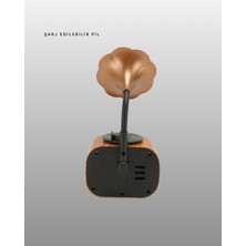 Kablosuz Retro Radyo Hoparlör 5W Güçlü Ses USB Hafıza Kart Destekli