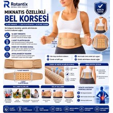 Rotantix Asorti Bel Ağrısı Çekenler Için Ağrı Önleyici Mıknatıslı Bel Kemeri