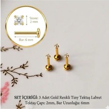 Heppii 3 Adet Mini Tektaş Cerrahi Çelik Piercing Tragus Helix Kıkırdak Conch 6 mm 2mm Taş