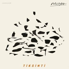 Jaguar Kitap Tiksinti