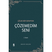 Raven Yayınevi Çözemedim Seni