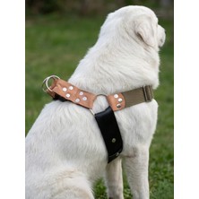 Balkonda Kişiye Özel Köpek Göğüs Tasması Ayarlanabilir Büyük Irk Emniyet Kemeri Kolon Kordon Haki & Siyah