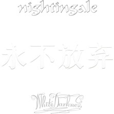 SoundBox Nıghtıngale - Whıte Darkness  (Re-Issue) - 2 CD - Plak Değildir