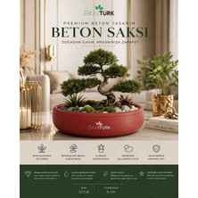 🌿 Bitkitürk Özel Üretim Beton Saksı | 33 cm Geniş Çap | Barış Çiçeği, Bonsai ve Iç Mekan Bitkileri Için Dekoratif Beton Saksı