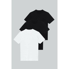 Nacar Store 3\'lü Paket Premium Yazlık Düz Renk Basıc T-Shirt