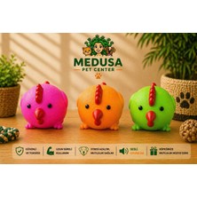 Medusa Civciv Şeklinde Sesli Köpek Oyuncağı 3'lü