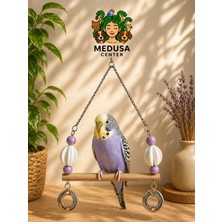 Medusa Kuş Tüneği Gaga Taşı ve 2 Adet Zilli Top