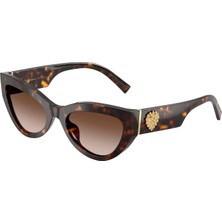 Dolce & Gabbana DG4536 50213 55  Güneş Gözlüğü