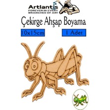 Artlantis Ahşap Boyama Böcekler 1 Adet 10X15CM Boyama Böcek Figürleri Etkinlik Çocuk Gelişim Motor Beceri Kreş Anasınıfı