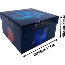 Elit Harry Potter Hediyelik Kutu 9*17  No:3