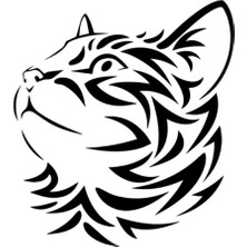UAStudio Hırçın Kedi Oto Cam Özel Yeni Sticker 10*15 cm