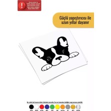 UAStudio Camdan Bakan Köpek - Araç, Oto, Laptop, Duvar Uyumlu Sticker 10*9 cm