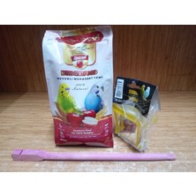 Eurogold Meyveli Muhabbet Yemi 500 gr +30 cm Renkli Ahşap Tünek+Aynalı Salıncak Kuş Oyuncağı