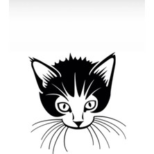 UAStudio Cingöz Kedi Oto Özel Yeni Kaliteli Kaliteli Sticker Siyah 40*40 cm