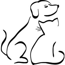 UAStudio Kedi Köpek Dostluğu Sticker Oto Motor Laptop Duvar Folyo Sticker 20X20 cm