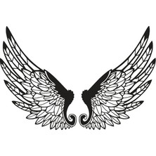 UAStudio Anka Kuşu Kanadı Duvar Dekor Sticker Uyumlu  60 x 20 cm