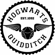 UAStudio Hogwarts Quıddıtch Tasarım Sticker 40 x 40 cm