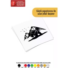 UAStudio Off Road Boz Ayı - Araç, Oto, Laptop, Duvar Uyumlu Sticker 40*32 cm