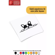 UAStudio Bagajdan Bakan Bulldog Sticker Oto Motor Laptop Duvar Folyo Sticker 60X36 cm