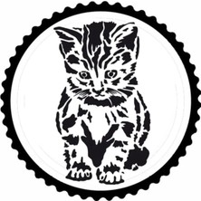 UAStudio Düşünen Kedi Tasarım Sticker 10 x 10 cm