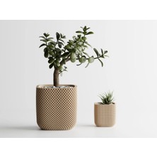 Rib Rounded Cube Dekoratif Saksı - Bej Kare Desenli Modern Bitki Saksısı 6 cm