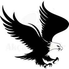 UAStudio Kartal Oto Motor Laptop Duvar Folyo Sticker 20X18 cm Lcst [lcst]