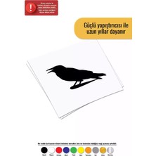 UAStudio Aç Karga Sticker Oto Motor Laptop Duvar Folyo Sticker 40 x 36 cm