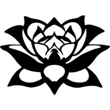 UAStudio Lotus Çiçeği Sticker Oto Motor Laptop Duvar Folyo Sticker 30X21 cm